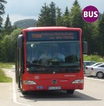 Regional- und Stadtbus